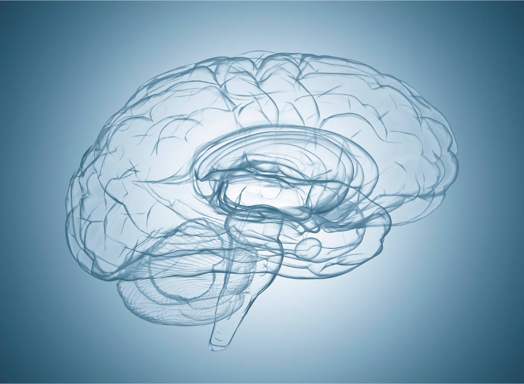Neurologie, Therapie nach Schlaganfall und bei MS, Parkinson